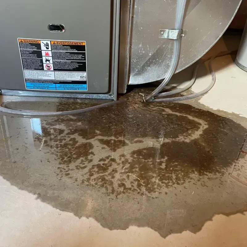 Appliance Leak Cleanup in Cairo, NY